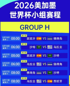 世界杯赔率APP赔率界面